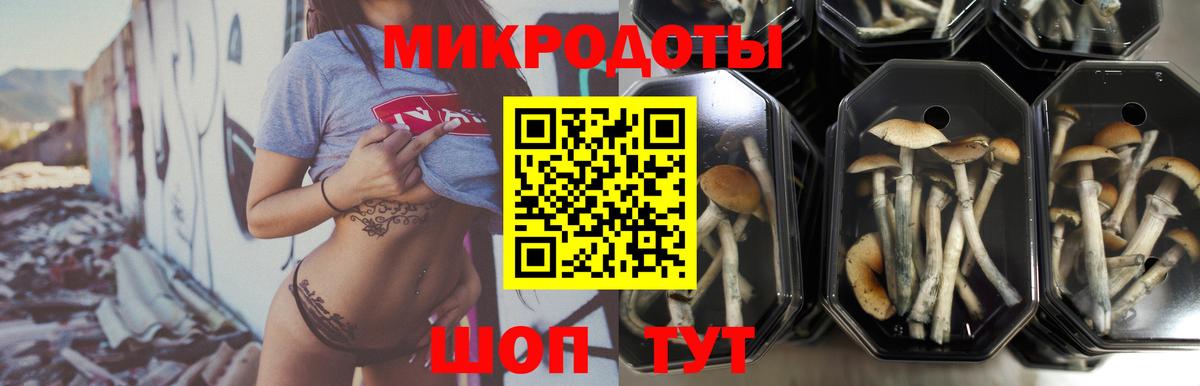 Псилоцибиновые грибы мицелий  Псилоцибиновые грибы MAGIC MUSHROOMS  сколько стоит  Вход с VPN  Коммунар 